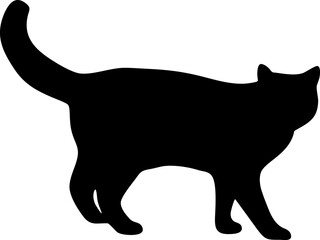 silhouette of a cat