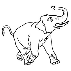 elephant outline vector illustration