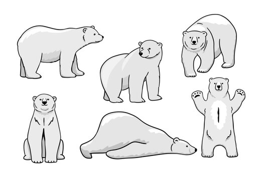 White polar bear set. Funny polar bear is lying. Vector flat cartoon illustration isolated on white background.