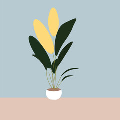 plant in a vase,leaves and pot it is use motion graphics 