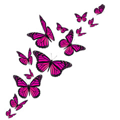 Pink monarch butterflies