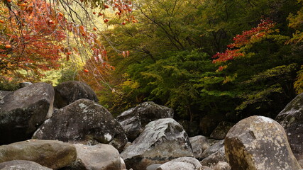 Beautiful autumn scenery of Jirisan National Park in South Korea