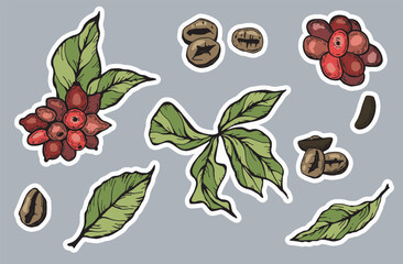 Set of coffee stickers. Coffee beans, flowers, leaves.