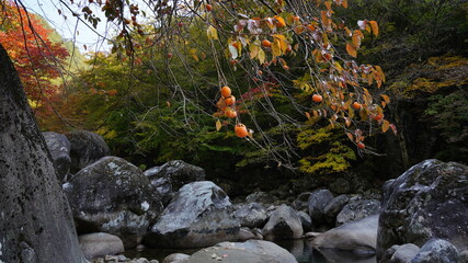 Beautiful autumn scenery of Jirisan National Park in South Korea