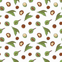 Seamless pattern with macadamia nuts. Design for fabric, textile, wallpaper, packaging.