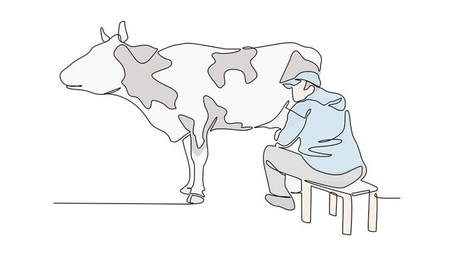 Animated self drawing of single continuous line draw for people is milking a cow. beverage in simple linear style design concept. cow and people Full length one line animation.