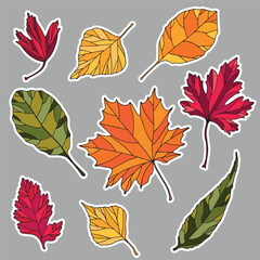 Leaves stickers set. Cartoon style.