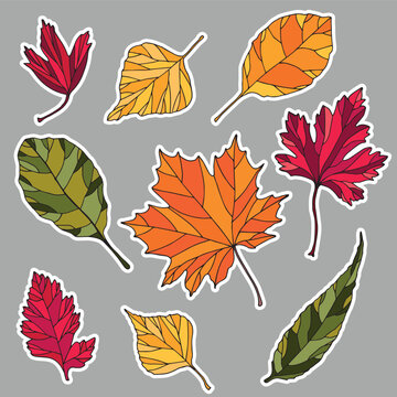 Leaves stickers set. Cartoon style.