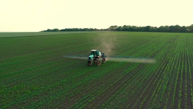 Drone in front view a sprinkler tractor processes a soybean field with chemicals at sunset.