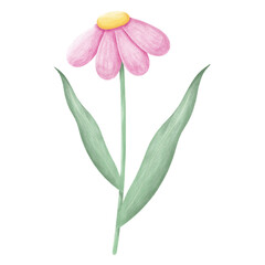 Fototapeta na wymiar Set of spring flowers drawing images
