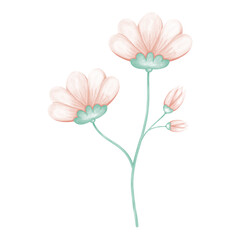Set of spring flowers drawing images