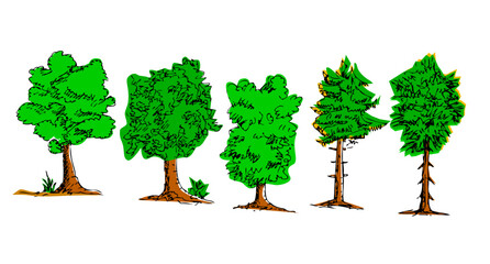 simple sketch vector set 5 big tree, isolated on white
