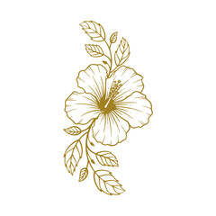 Hand drawn hibiscus flower. Hibiscus flower line art vector illustration © putra_purwanto