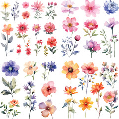 A Big watercolor floral package collection. Use by fabric, fashion, wedding invitation, template, poster, romance, greeting, spring, bouquet, pattern, decoration and textile.