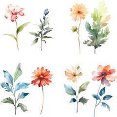 Colorful leaf branch collection with leaves and flowers