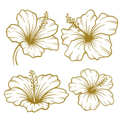 Set of hand drawn hibiscus flower illustration. Hibiscus flower line art collection