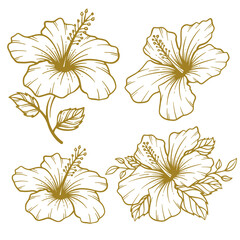 Set of hand drawn hibiscus flower illustration. Hibiscus flower line art collection - obrazy, fototapety, plakaty