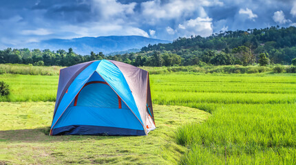 Spread the tent on the rice field