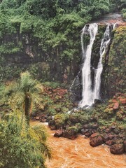 waterfall in the forest, Iguazu, Argentina