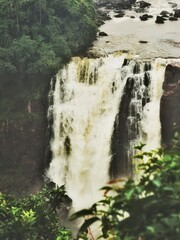 waterfall in the forest, Iguazu, Argentina