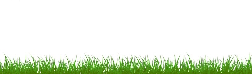Fototapeta premium Green Grass Border