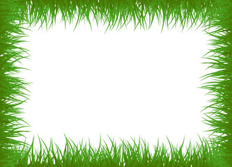 Green Grass Frame Rectangle