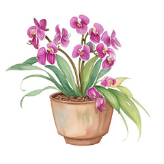 Naklejka na ściany i meble pink orchid in a pot