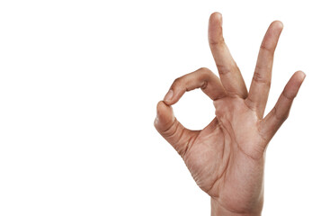 Approve, perfect and hand with okay sign for agreement on isolated, PNG and transparent background....