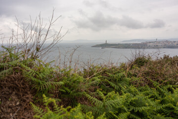 horizontal image of the coast of La Coruña, Galicia, Spain, with out-of-focus branches in the foreground
