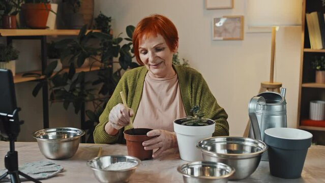 Panning right portrait of senior woman sitting at table in cozy room with warm light smiling and looking at camera while preparing soil in flowerpot