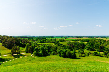 Obraz premium Summer rural lanscape with trees,forest cloudy summer sky. warm beautiful summer day. Summer background.