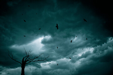 stormy clouds and ravens flying over a dead tree