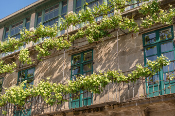 Fototapeta na wymiar picturesque facade of a house made of stone blocks, with green windows and plants and vegetation as decoration.