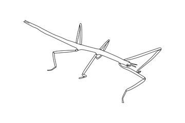 Fototapeta na wymiar Continuous one line drawing insects concept. Single line draw design vector graphic illustration.
