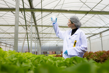 Scientists are conducting research and development on the cultivation of organic vegetables in a closed farm.