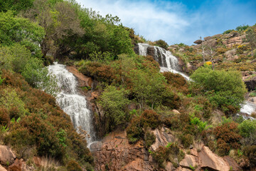 natural landscape of water flowing in small waterfalls through the trees and rocks of the mountains