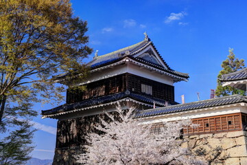 Obraz premium 上田城の桜