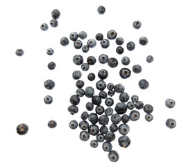 Ripe blueberries isolated on white background.
