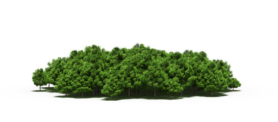 group of trees isolated on a transparent background, big trees in the forest, 3D illustration, cg render