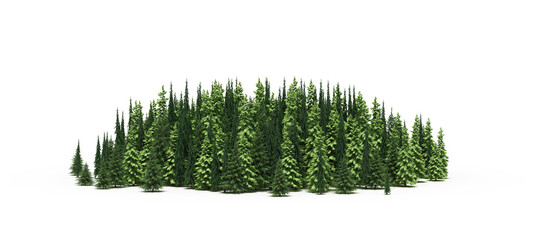 group of trees isolated on a transparent background, big trees in the forest, 3D illustration, cg render
