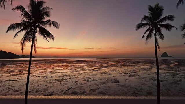 Aerial view drone flying crane shot of coconut palm trees at Laem Had beach, Koh Yao Yai, Thailand 
