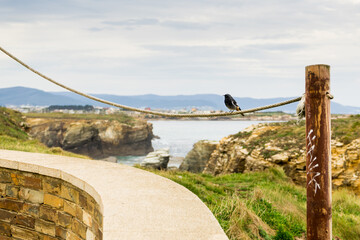 Walk area at Cathedral Beach, Galicia Spain.