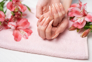 Obraz na płótnie Canvas Elegant pastel pink natural manicure.