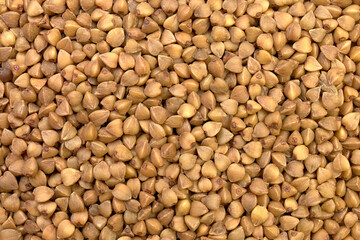 Close up of buckwheat grains. Dry buckwheat background, top view