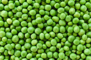 Green pea. Background of green peas. Proper nutrition. The concept of vegetarianism.