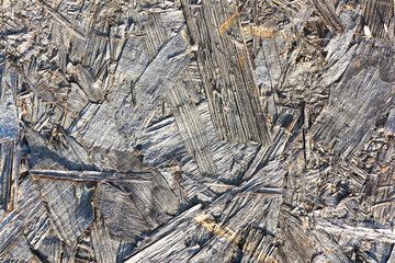 Dry pressed pieces of gray wood old piece of osb beautiful wood texture weathered under the sun