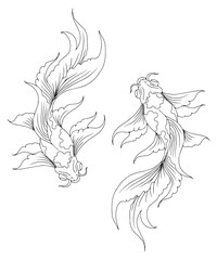 Design Koi Gold Fish Illustration Silhouette Outline