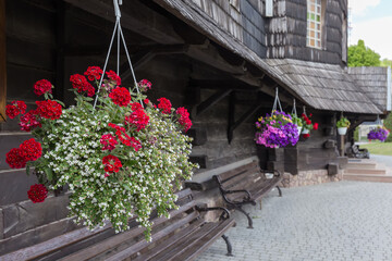 Fototapeta na wymiar Flowerpots with different flowers suspended under roof of wooden church