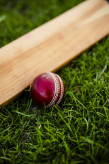 Cricket bat and ball on green grass