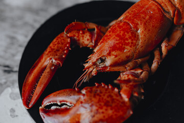 Steamed red lobster for dinner